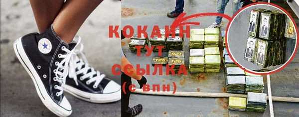 индика Алексин