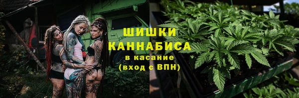 PSILOCYBIN Абаза