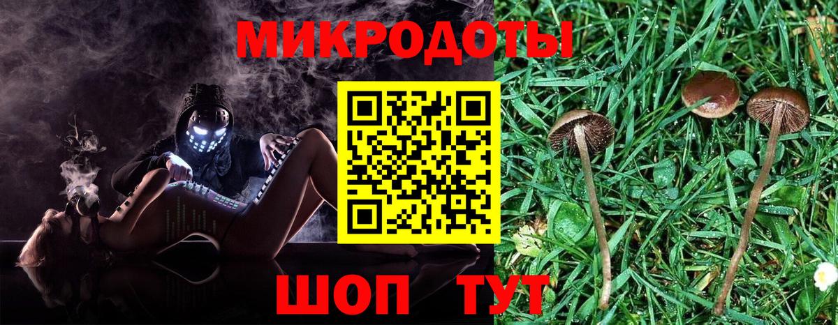 Знаменск  Галлюциногенные грибы мухоморы  Галлюциногенные грибы мицелий  Вход с VPN 